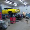 1969 Camaro  and 1999
 Mustang - Posi's & Gears (and ferocious Dog!)

